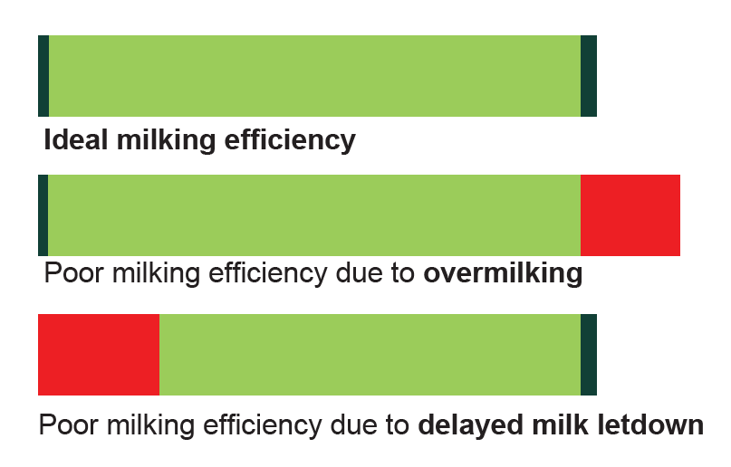 milking efficiency letdown